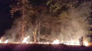 SIMILIPAL FOREST FIRE- ODISHA #AwazUthao #SaveSimilipal