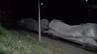 Trem da MRS passando em Taubaté com carga geral com 2 locomotivas.