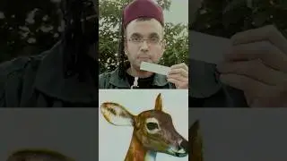 PURE DEER MUSK 🦌 jaisa ANIMALIC attar 😍 By Gulabsingh Johrimal! #shorts #viral #eid  #musk