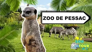 ZOOTOUR #4 Zoo Bordeaux Pessac