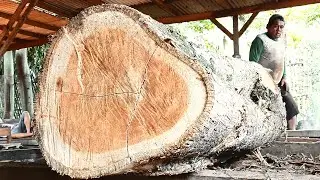 SAWING TEAK WOOD From Whole Logs into Quality Slimar Planks and Beams