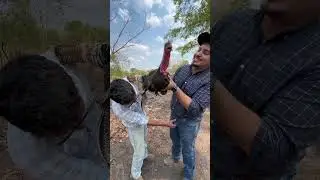 Esse n&atilde;o KARALHO