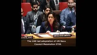 UAE's Bridge-Building Role in International Affairs