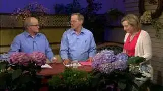 Great Gardening - Old Fashioned Favorites