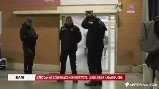1 GENNAIO 2026 - BARI, CAPODANNO E ORDINANZE NON RISPETTATE.   LUANA PRIMA NATA IN PUGLIA