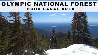 Exploring the Olympic National Forest in the Hood Canal area.