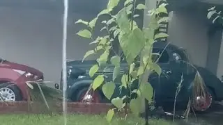 Miria Oliveira Receitas e Bate-Papos... está ao vivo! 15 MINUTOS DE CHUVA. 😍