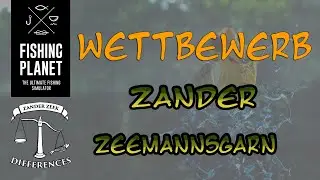 Fishing Planet - Wettbewerb - Kanal Gent Terneuzen - Zander Zeemannsgarn - Zander Zeek Differences