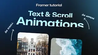 Анимация текста и прокрутки — Framer для начинающих | Учебное пособие без кода