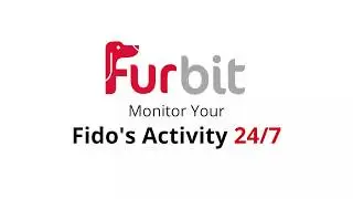 Keep monitoring your Fido 24/7