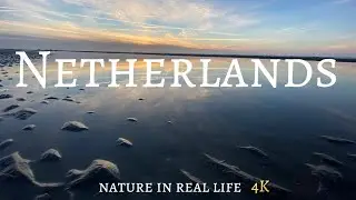 SECRET spot in the Netherlands 🤫🤫 | nature in real life 4K