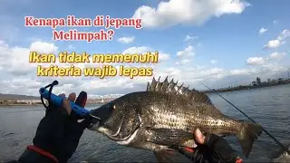 PERATURAN BARU KETIKA MANCING DI JEPANG‼️