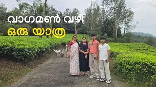 A road trip through vagamon-erattupetta route | Leelatipsandvlogs |