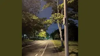 Vision