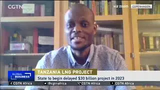 Tanzania's LNG project: State to begin delayed $30 billion project in 2023