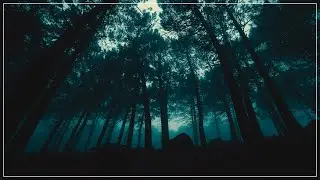 Gloomy A#m(maj7) / Bbm(maj7) (A# minor major 7 / Bb minor major 7) CHORD - Ambient Backing Track #80