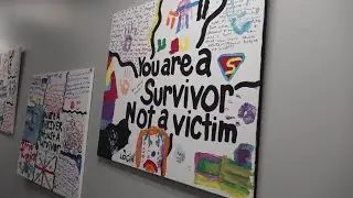 Hamilton County domestic violence shelter on hold due to 'financial constraints' caused by SB1