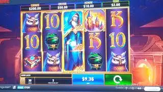 netbet casino