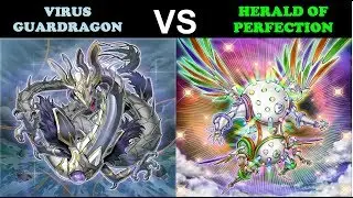 YuGiOh Duel - Virus Guardragons vs Herald of Perfection
