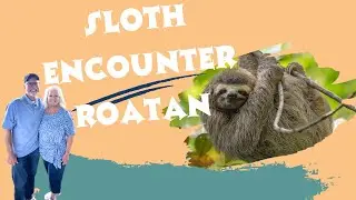 Harmony of the Seas Excursion | Roat&aacute;n Animal Sanctuary with Victor Bodden Tours