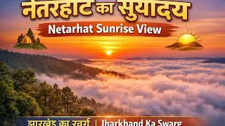 Netarhat Sunrise View 🌄 | Jharkhand ka Swarg | Beautiful Morning View | Nature Lovers