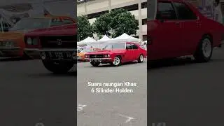 Holden Premier HQ #holden #australiacars #shorts #holdenpremier