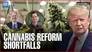 Experts Warn Trump Marijuana Rescheduling Won&rsquo;t Fully Solve Legal Or Banking Challenges In US