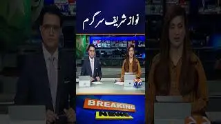 Japanese Ambassador's Meeting with Nawaz Sharif and Maryam Nawaz