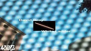 David Gray - Please Forgive Me (432Hz)