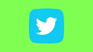 Twitter Icon - Logo Animated | Green Screen | Free Download | 4K 60 FPS!