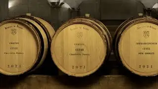 Join the World's Most Historic Wine Auction | 2021 Vintage