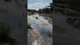 TEXAS'S CLEAREST RIVER (Secret Spot) #Texas #travel #naturelovers #clearwater #river #fyp #youtube