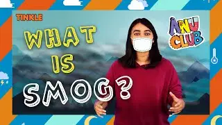 What is Smog? The Science of Smog - How Smog Is Formed - How Smog Affects Delhi