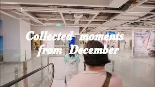 Cozy December Days ☕🤍 | Coffee Runs, Groceries & Cuddly Dogs