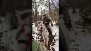 shetitje ne pyje1