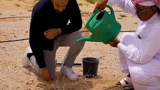 Explore Qatar's grassroots initiatives aiming to protect the planet