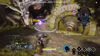 Paragon Nial i need help!