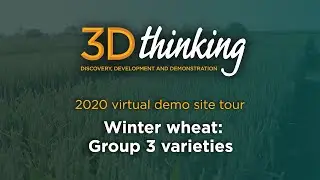 3D Thinking - Virtual plot tour 2020: Winter wheat Group 3 variety overview