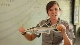 Gone Fishing: Understanding Fishing Regulations (Pt. 4 of 5)