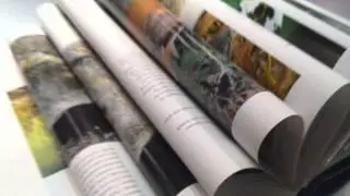 Huawei Ascend P6 - Videosample 1080p - androidnext.de