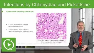 Infections by Chlamydiae and Rickettsiae
