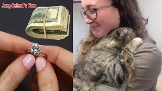 The woman sold her engagement ring to save her cat but it was not enough, and the miracle suddenly!