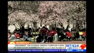 Activistas abandonan temporalmente su huelga de hambre contra deportaciones frente a la Casa Blanca