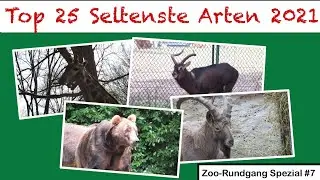 Top 25 seltensten Tiere die ich 2021 gesehen habe | Zoo-Rundgang Spezial #7 | ZOOCEMBER #16