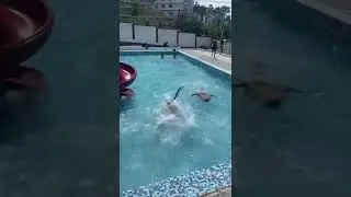 swimming ktm