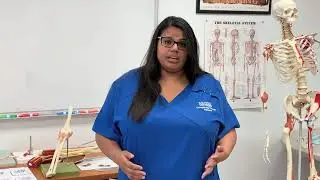 Inside the Classroom at KeiserU Ft Myers Occupational Therapist Assistant program
