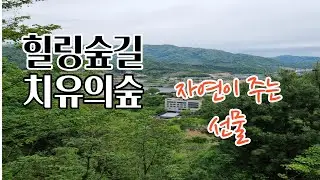 지친 몸과 마음을 치유해주는 자연의선물/청평자연휴양림