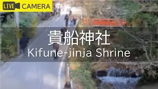 【LIVE】京都 貴船神社ライブ中継カメラ／Kifune-jinja Shrine, Kyoto Live camera