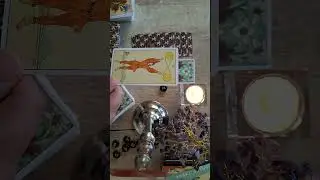 Tarot įžvalgos 2025 m.spalio mėnesiui. Jautis - Mergelė.