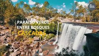 Mexiquillo Durango el para&iacute;so verde entre bosques y cascadas